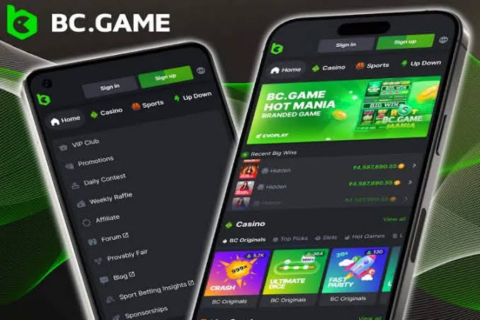 Exploring BC Game The New Frontier of Online Gaming in the USA