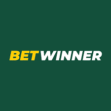 Understanding BetWinner's GDPR Policy Key Insights for Users