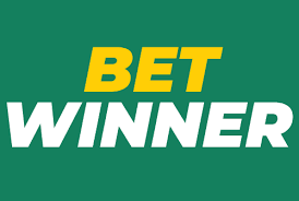 Understanding BetWinner Terms and Conditions for a Safe Betting Experience Understanding BetWinner Terms and Conditions for a Safe Betting Experience