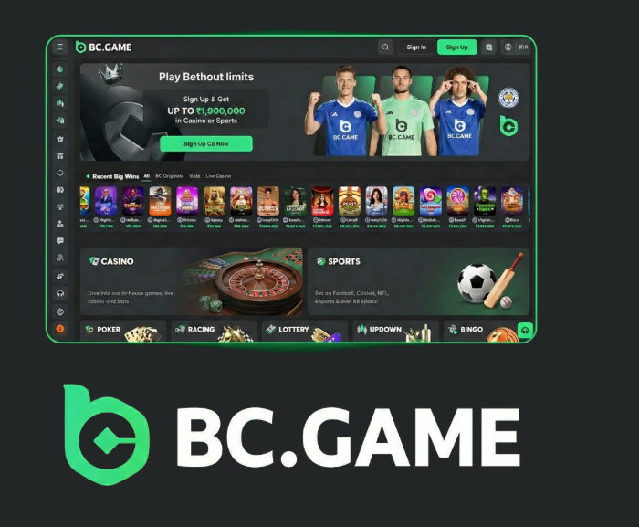 The Ultimate Guide to BC.Game Platform A Revolution in Online Gaming The Ultimate Guide to BC.Game Platform A Revolution in Online Gaming